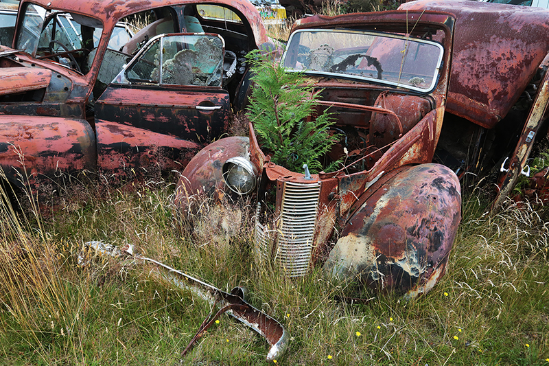 Smash Palace : Car Wreckers : Horopito : New Zealand : Richard Moore : Journalist : Photographer :